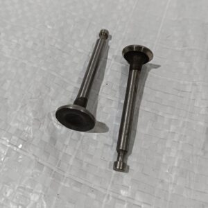 INTAKE/EXHAUST VALVE RK139F