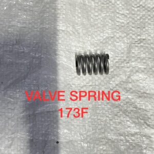VALVE SPRING 173F