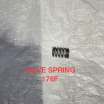 VALVE SPRING 178F
