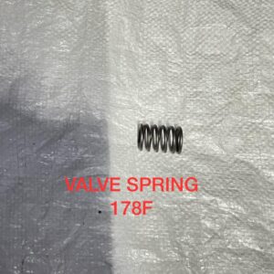 VALVE SPRING 178F