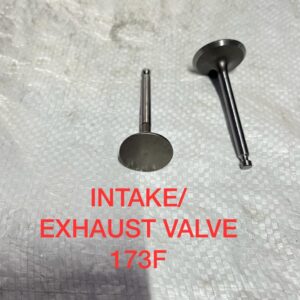 INTAKE/EXHAUST VALVE 173F