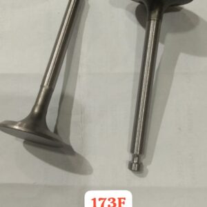 INTAKE/EXHAUST VALVE 173F (SQUARE)