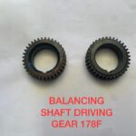 BALANCING SHAFT DRIVING GEAR 178F