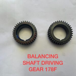 BALANCING SHAFT DRIVING GEAR 178F
