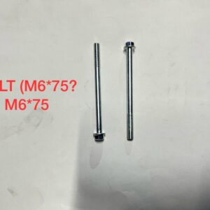 BOLT M6*75