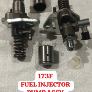 FUEL INJECTOR PUMP ASSY 173F CLASSIC