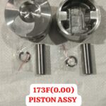 PISTON ASSY 173F 0.00