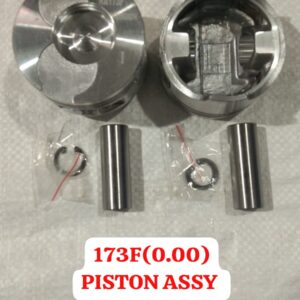PISTON ASSY 173F 0.00
