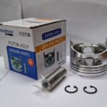 PISTON ASSY 173F 0.00(NSM)