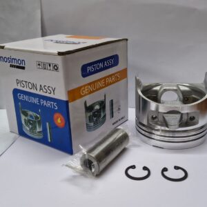 PISTON ASSY 173F 0.00(NSM)