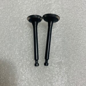 INTAKE & EXHAUST VALVE 144F