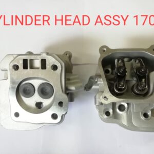 CYLINDER HEAD ASSY 170F
