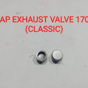 CAP EXHAUST VALVE 170F (CLASSIC)