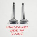 INTAKE/EXHAUST VALVE 170F (CLASSIC) (MN)