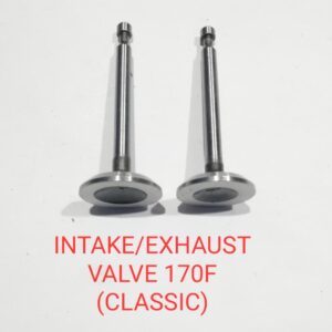 INTAKE/EXHAUST VALVE 170F (CLASSIC) (MN)