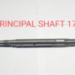 PRINCIPAL SHAFT 171