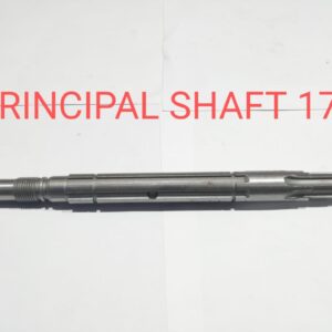 PRINCIPAL SHAFT 171