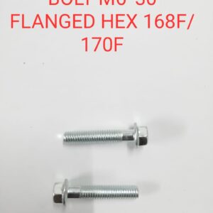 BOLT M6*30 FLANGED HEX 168F/170F