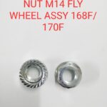 NUT M14 FLY WHEEL ASSY 168F/170F