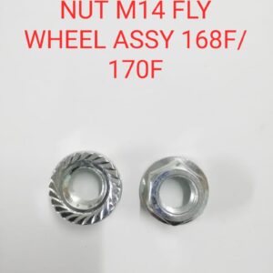 NUT M14 FLY WHEEL ASSY 168F/170F