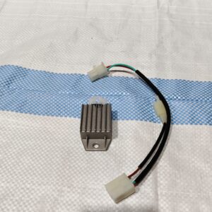 VOLTAGE STABILIZER WITH CABLE 170F