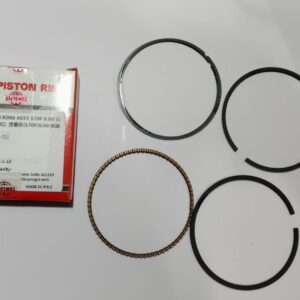 PISTON RING ASSY 170F 0.00 (ULTRA CLASSIC)